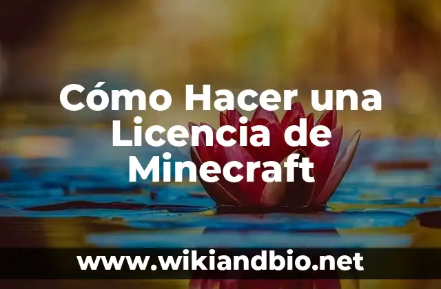 Cómo Hacer una Licencia de Minecraft