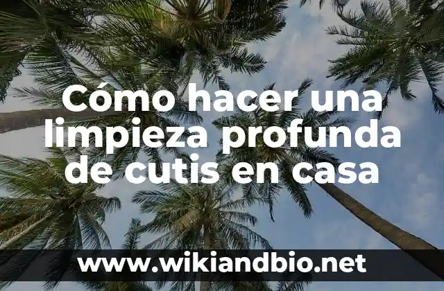 Cómo hacer una limpieza profunda de cutis en casa
