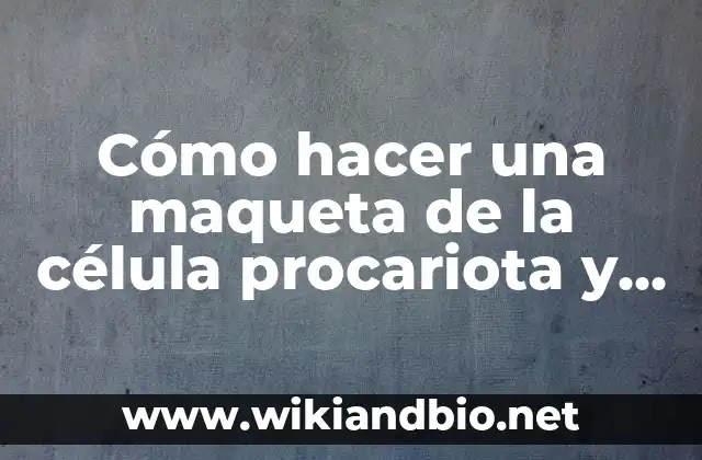 Cómo hacer una maqueta de la célula procariota y eucariota
