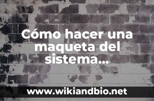Cómo hacer una maqueta del sistema circulatorio con movimiento