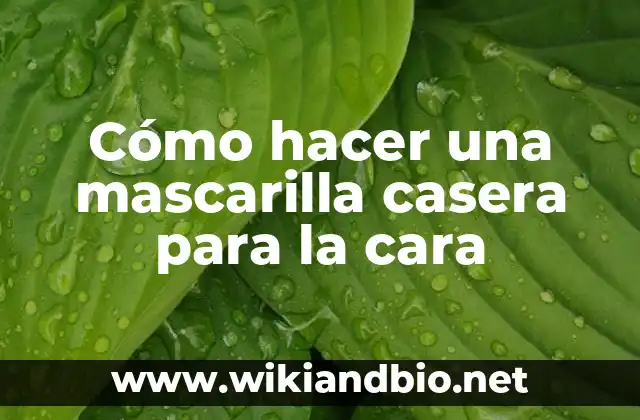 Cómo hacer una mascarilla casera para la cara
