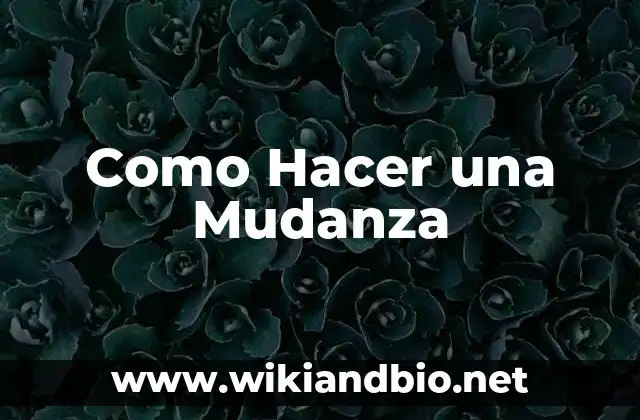 Como Hacer una Mudanza