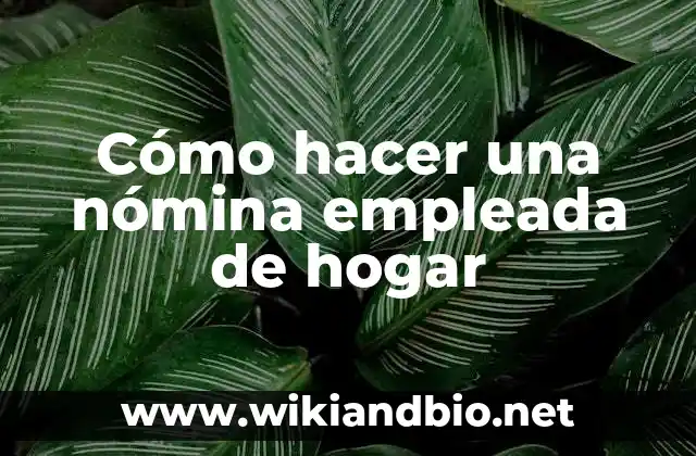 Cómo hacer una nómina empleada de hogar
