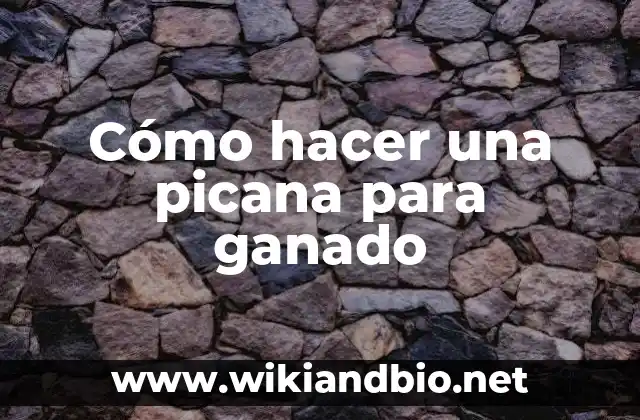Cómo hacer una picana para ganado