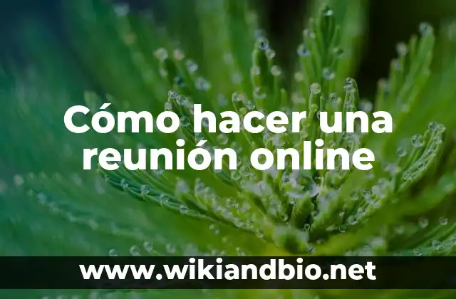 Cómo hacer una reunión online