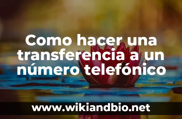 Como hacer una transferencia a un número telefónico