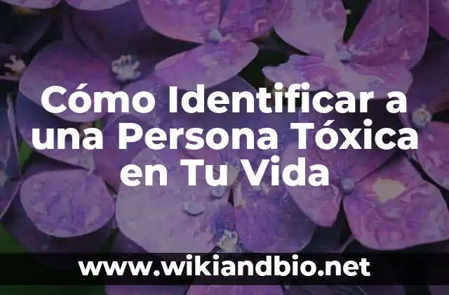 Cómo Identificar a una Persona Tóxica en Tu Vida