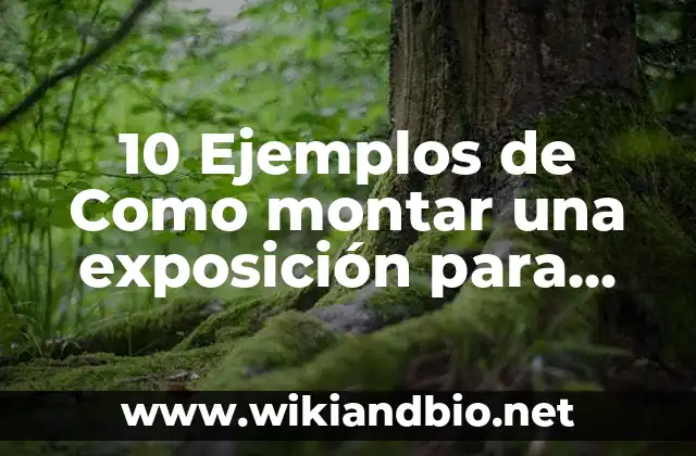 10 Ejemplos de Como montar una exposición para niños de kinder: Definición, Que es, Diferencias, Significado y Usos