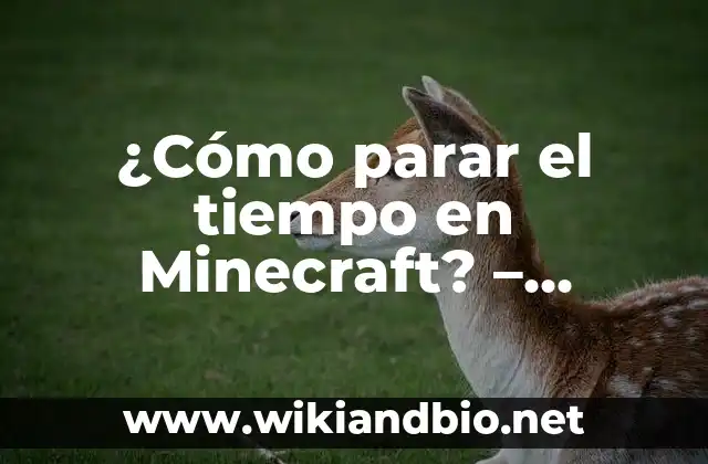 ¿Cómo parar el tiempo en Minecraft? – Comando para parar el tiempo en Minecraft