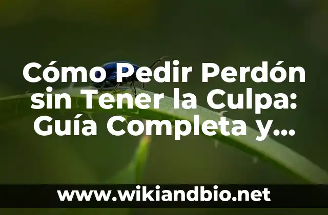 Cómo Pedir Perdón sin Tener la Culpa: Guía Completa y Efectiva