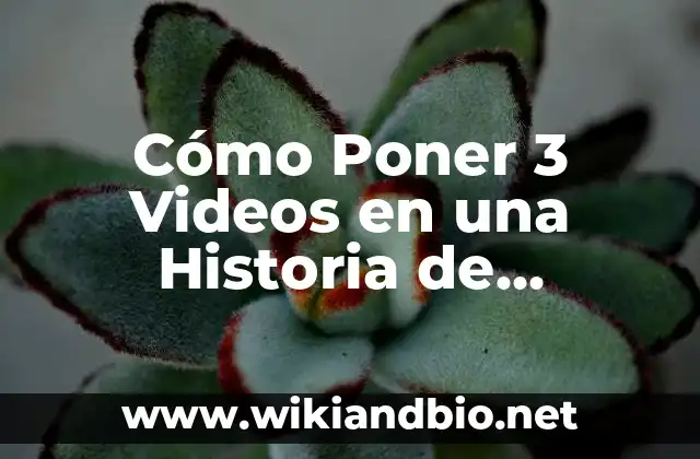 ¿Por qué Debes Agregar Múltiples Videos a tus Historias de Instagram?