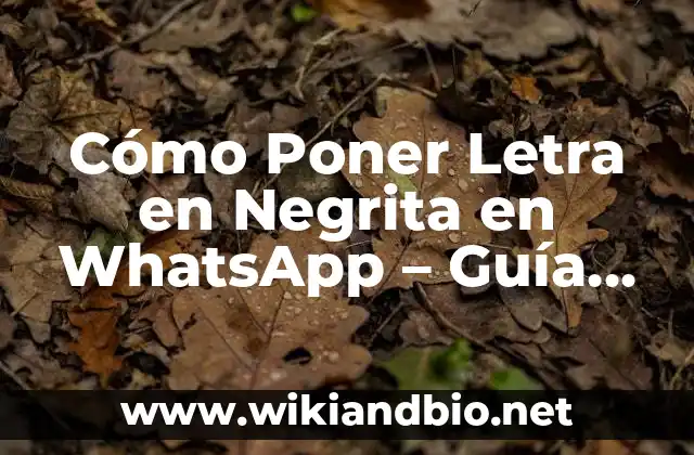 Cómo Poner Letra en Negrita en WhatsApp – Guía Práctica