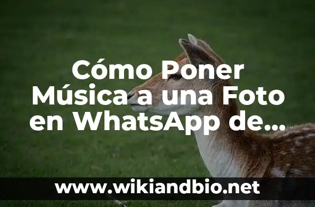 Cómo Poner Música a una Foto en WhatsApp de Forma Fácil y Rápida