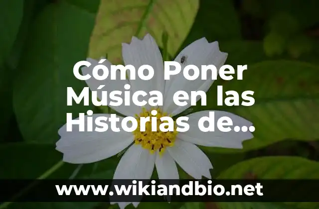 Cómo Poner Música en las Historias de Instagram: Guía Completa