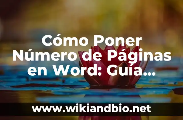 ¿Por qué es Importante Poner Número de Páginas en Word?