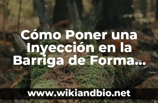 Cómo Poner una Inyección en la Barriga de Forma Segura y Efectiva