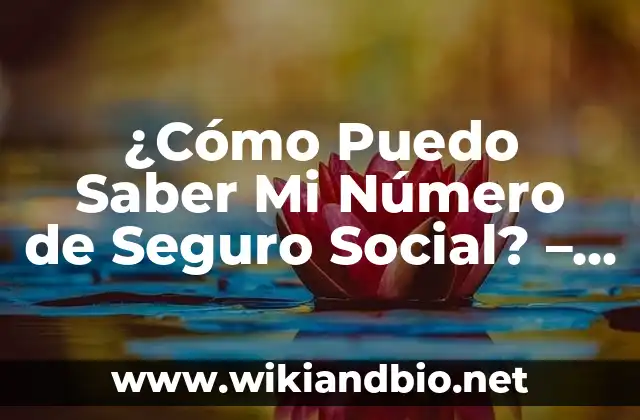 ¿Por qué es Importante Tener Acceso a Mi Número de Seguro Social?