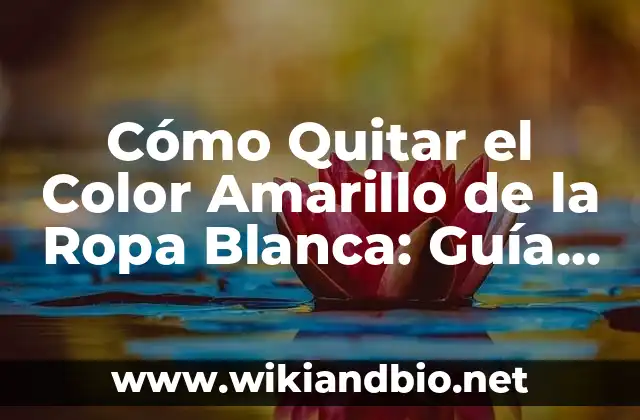 Causas del Amarilleamiento de la Ropa Blanca
