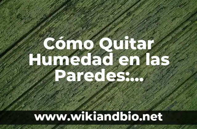 Cómo Quitar Humedad en las Paredes: Soluciones Efectivas