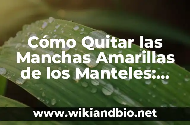 Cómo Quitar las Manchas Amarillas de los Manteles: Guía Completa