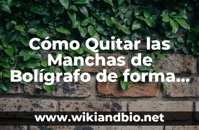 Cómo Quitar las Manchas de Bolígrafo de forma Permanente