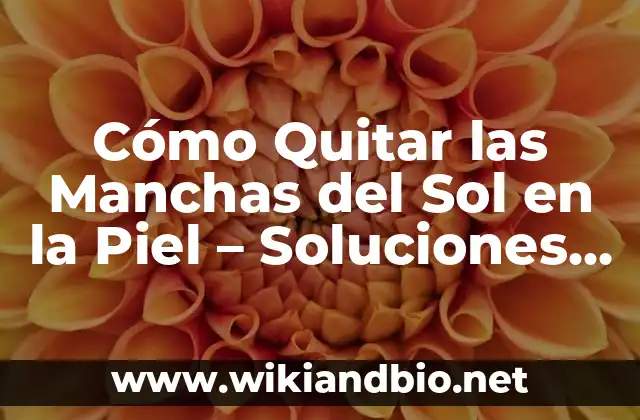 Causas de las Manchas del Sol en la Piel
