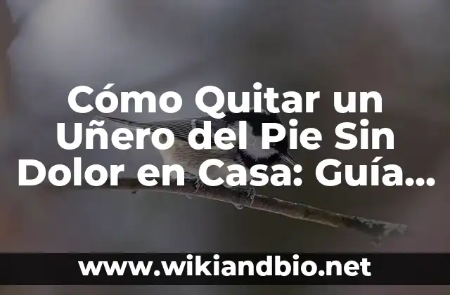 Cómo Quitar un Uñero del Pie Sin Dolor en Casa: Guía Completa
