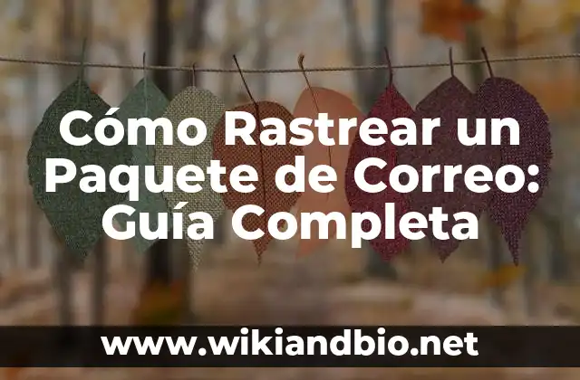 Cómo Rastrear un Paquete de Correo: Guía Completa