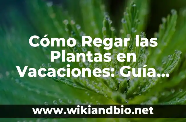 Cómo Regar las Plantas en Vacaciones: Guía Completa para que tus Plantas sigan Viviendo