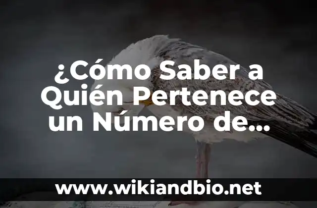 ¿Por Qué es Importante Identificar el Dueño de un Número de Celular?