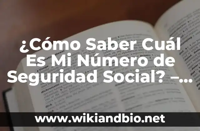 ¿Qué es el Número de Seguridad Social?