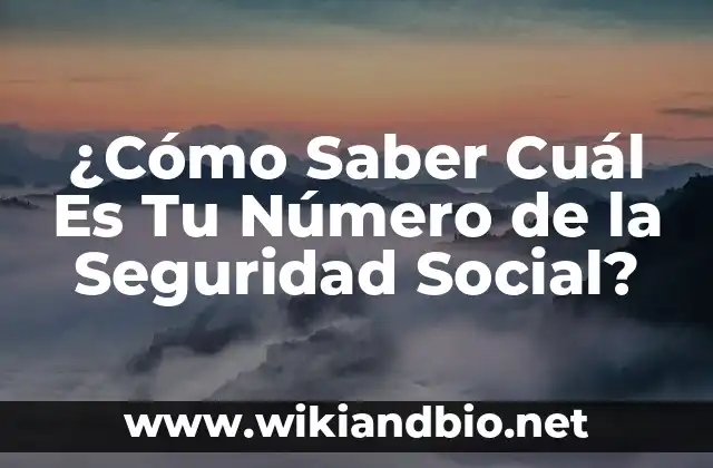 ¿Qué es el Número de la Seguridad Social y Para Qué Sirve?