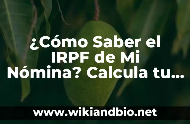 ¿Cómo Saber el IRPF de Mi Nómina? Calcula tu Impuesto sobre la Renta de las Personas Físicas