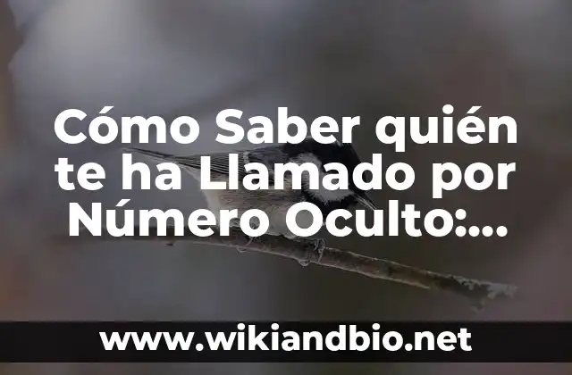 Cómo Saber quién te ha Llamado por Número Oculto: Guía Completa