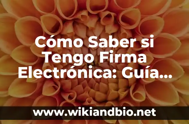 Cómo Saber si Tengo Firma Electrónica: Guía Completa