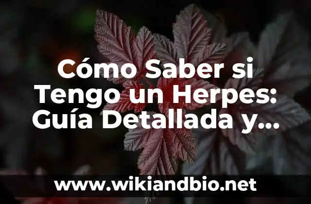 Cómo Saber si Tengo un Herpes: Guía Detallada y Completa