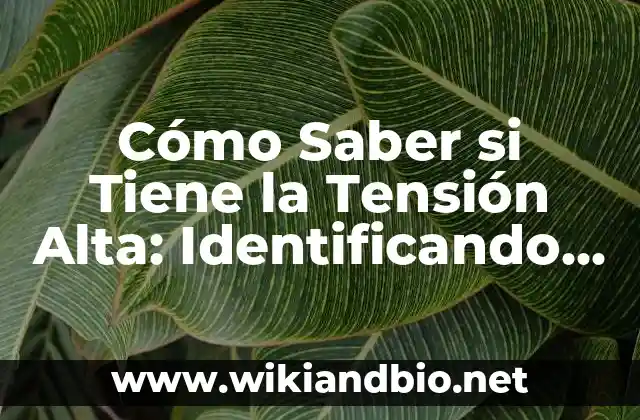 Cómo Saber si Tiene la Tensión Alta: Identificando los Síntomas y Factores de Riesgo