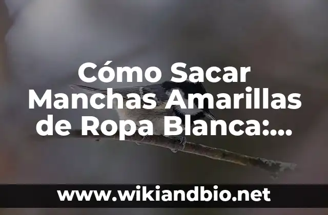 Cómo Sacar Manchas Amarillas de Ropa Blanca: Guía Detallada