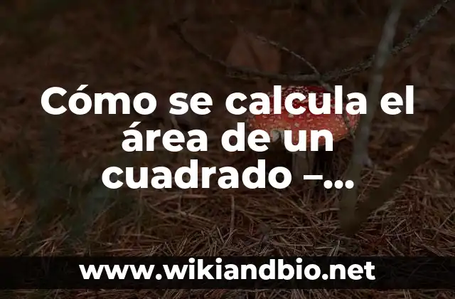 Cómo se calcula el área de un cuadrado – Fórmula y Ejemplos