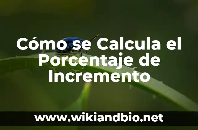 Cómo se Calcula el Porcentaje de Incremento