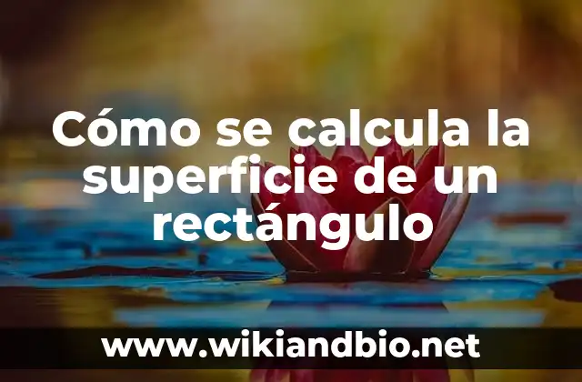 Cómo se calcula la superficie de un rectángulo