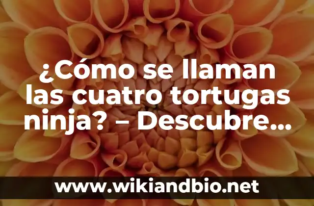 ¿Cómo se llaman las cuatro tortugas ninja? – Descubre los nombres de los héroes de la serie