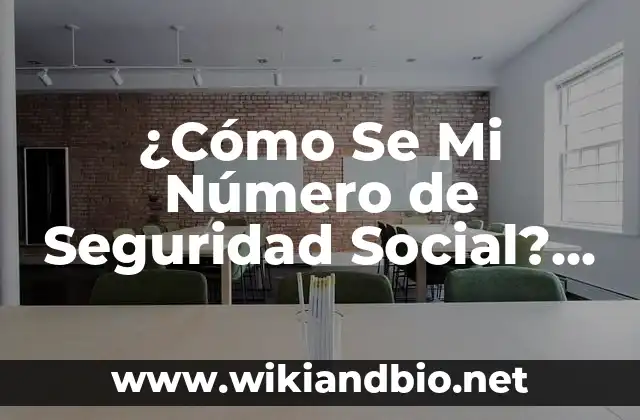 ¿Por Qué es Importante el Número de Seguridad Social?