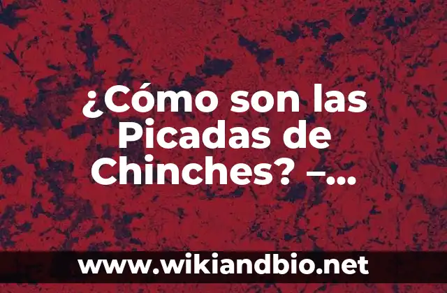 ¿Cómo son las Picadas de Chinches? – Síntomas y Tratamiento