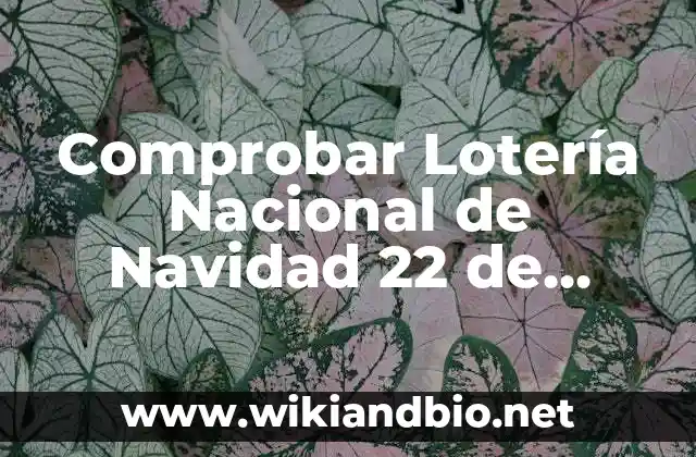Comprobar Lotería Nacional de Navidad 22 de Diciembre: Resultados y Premios