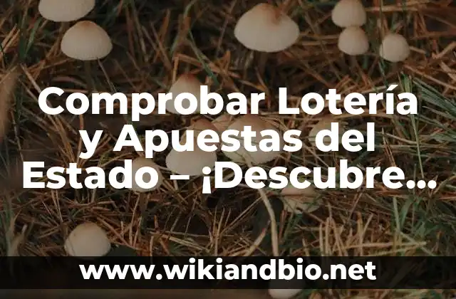 Comprobar Lotería y Apuestas del Estado – ¡Descubre los Resultados más Recientes!