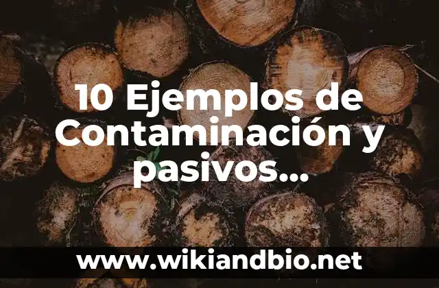 10 Ejemplos de Contaminación y pasivos ambientales en Yucatán (CPAY)