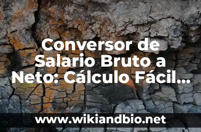 Conversor de Salario Bruto a Neto: Cálculo Fácil y Preciso