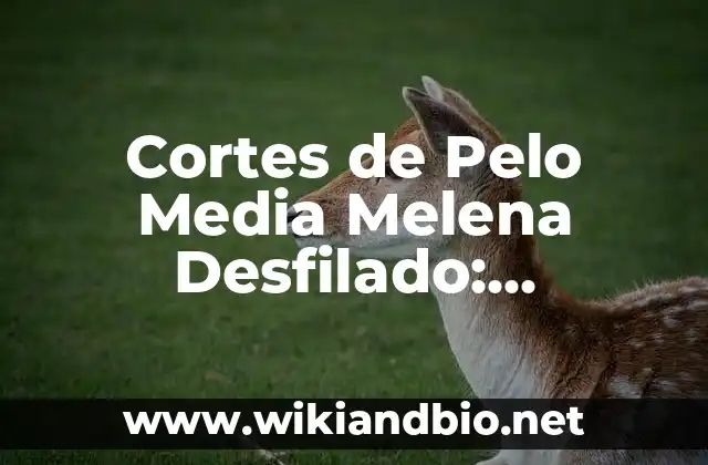 Cortes de Pelo Media Melena Desfilado: Tendencias y Estilos