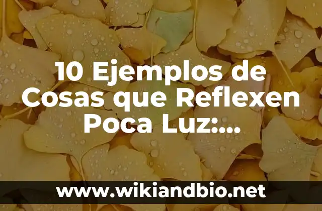 10 Ejemplos de Cosas que Reflexen Poca Luz: Definición, Que es, Diferencias, Significado y Usos
